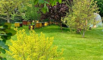 dom wolnostojący, 5 pokoi Suszno, ul. Owocowa