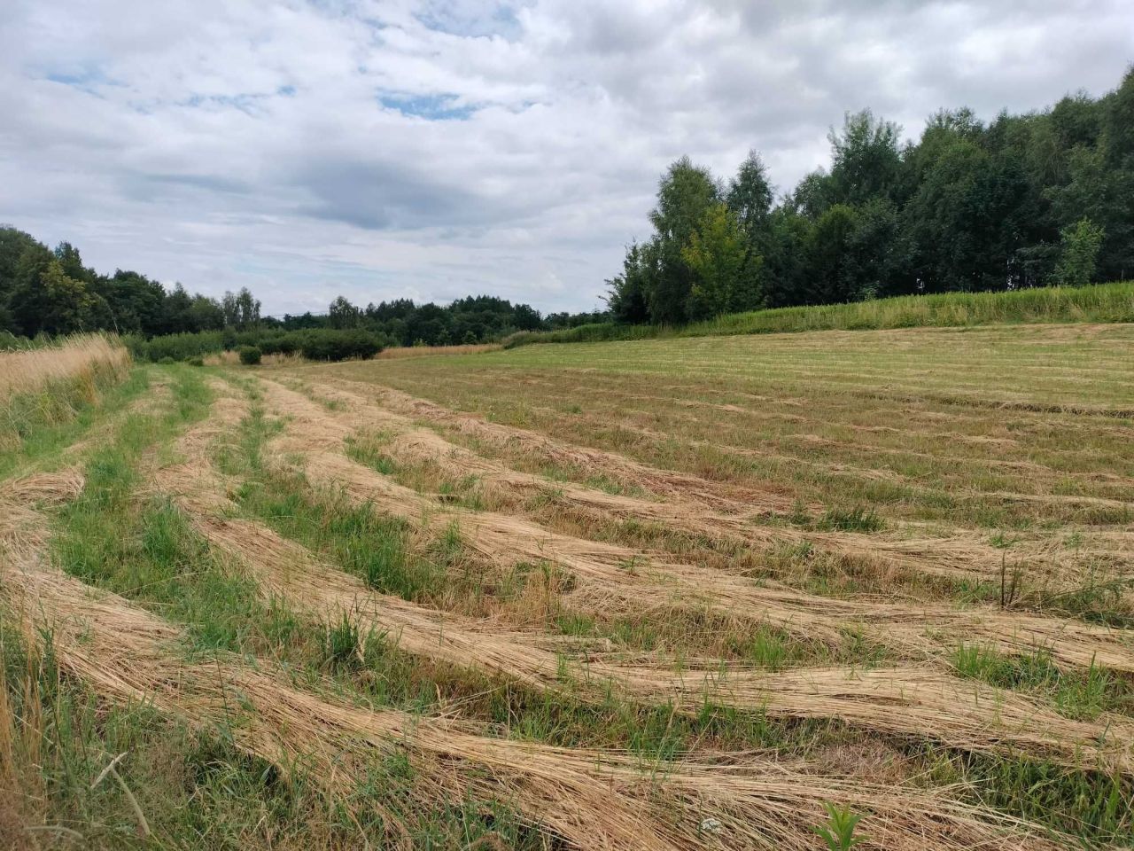 Działka rolno-budowlana Niewodna