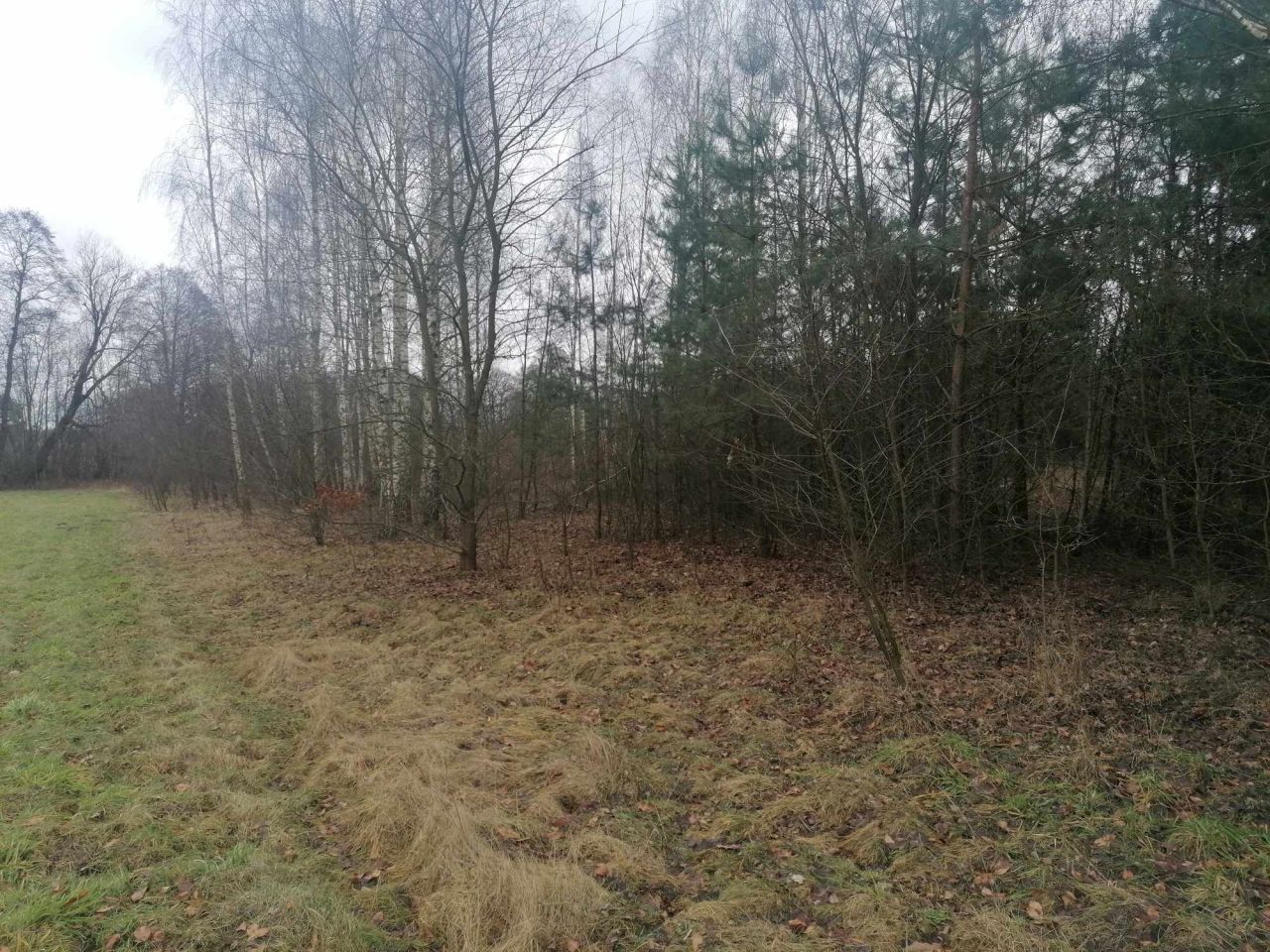 Działka budowlana Klwatka Królewska Figielów. Zdjęcie 9