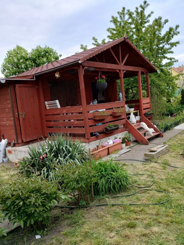 Działka rod Wrocław, ul. Raciborska. Zdjęcie 6