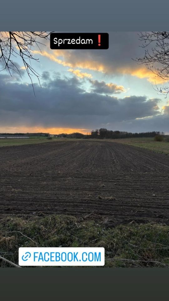 Działka rolno-budowlana Byszewice. Zdjęcie 2