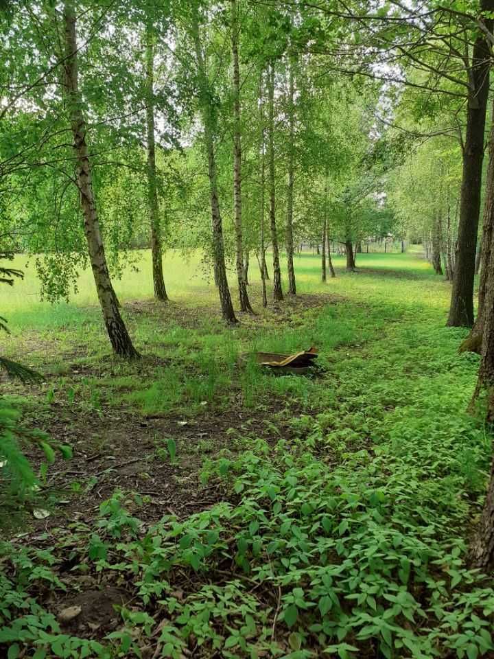 Działka rekreacyjna Naguszewo. Zdjęcie 3