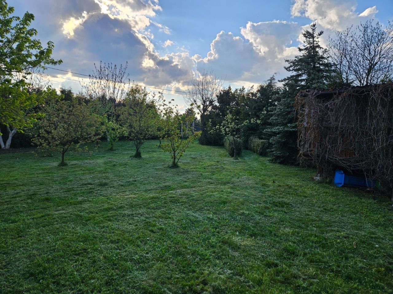 Działka rekreacyjna Woźniki. Zdjęcie 3