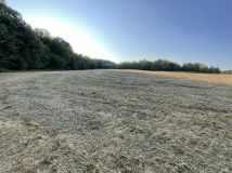 Działka rolna Dzierążnia. Zdjęcie 3