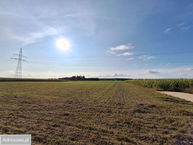 Działka inwestycyjna Mórkowo. Zdjęcie 1