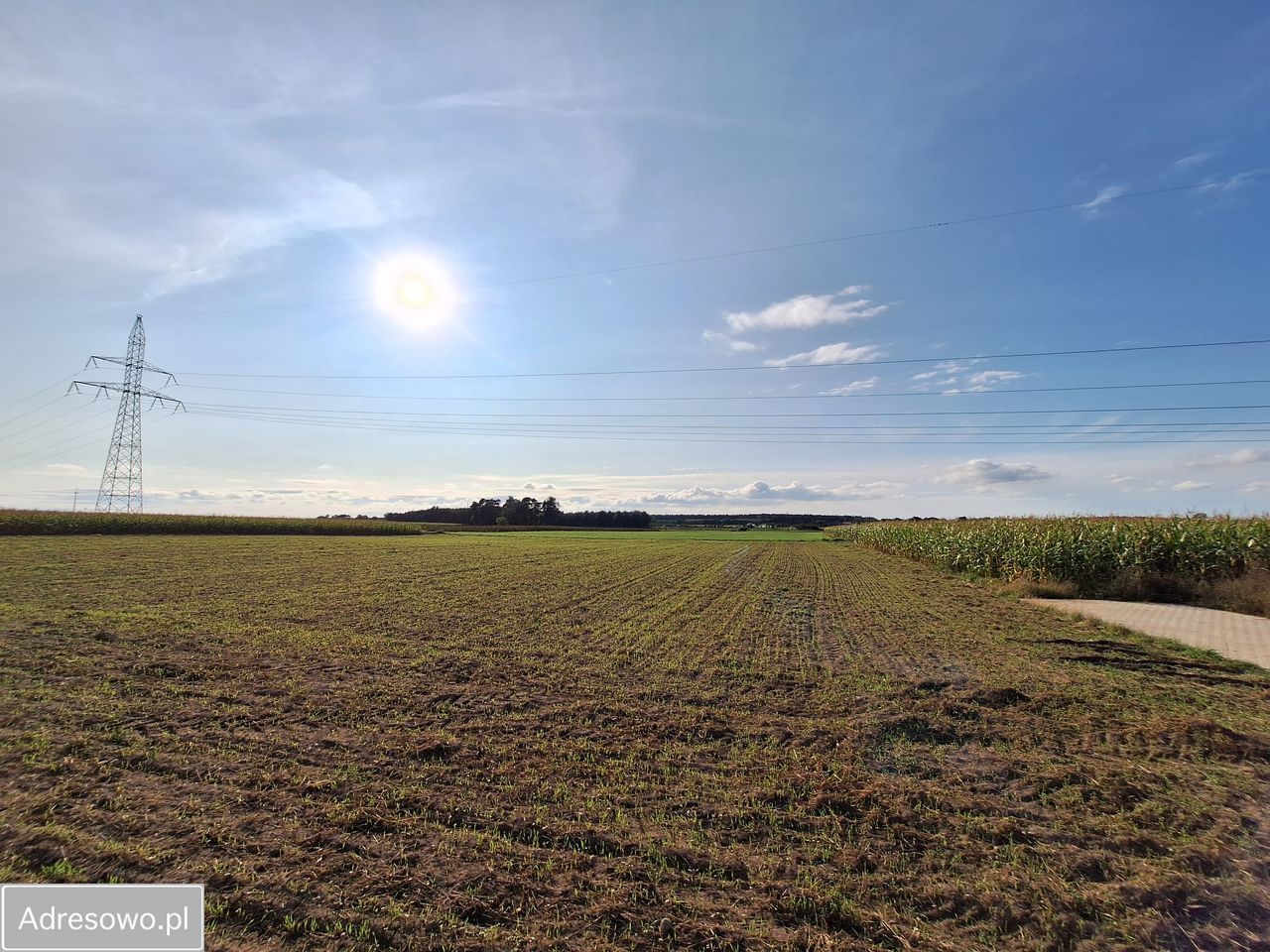 Działka inwestycyjna Mórkowo