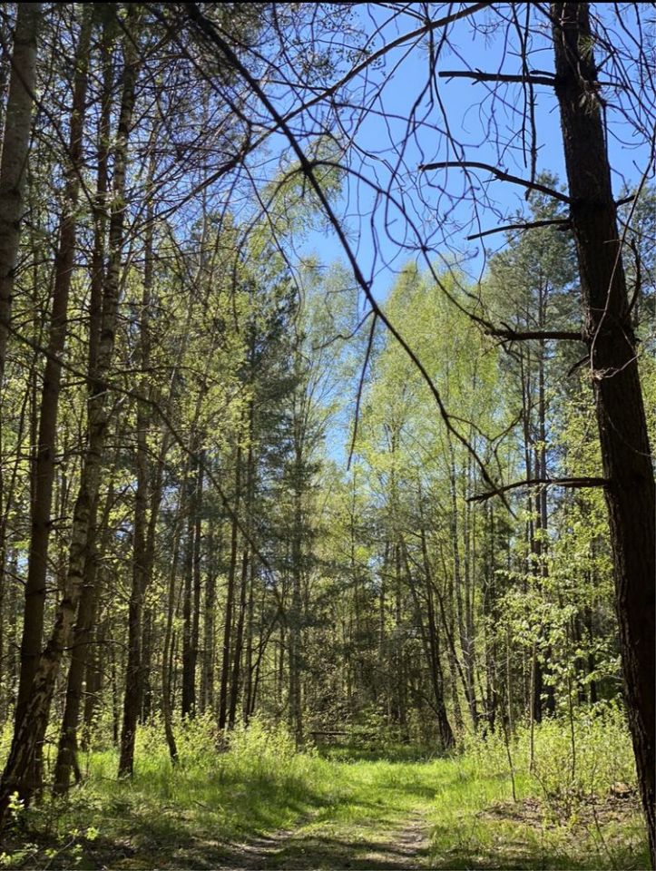 Działka rolna Idzbark. Zdjęcie 3