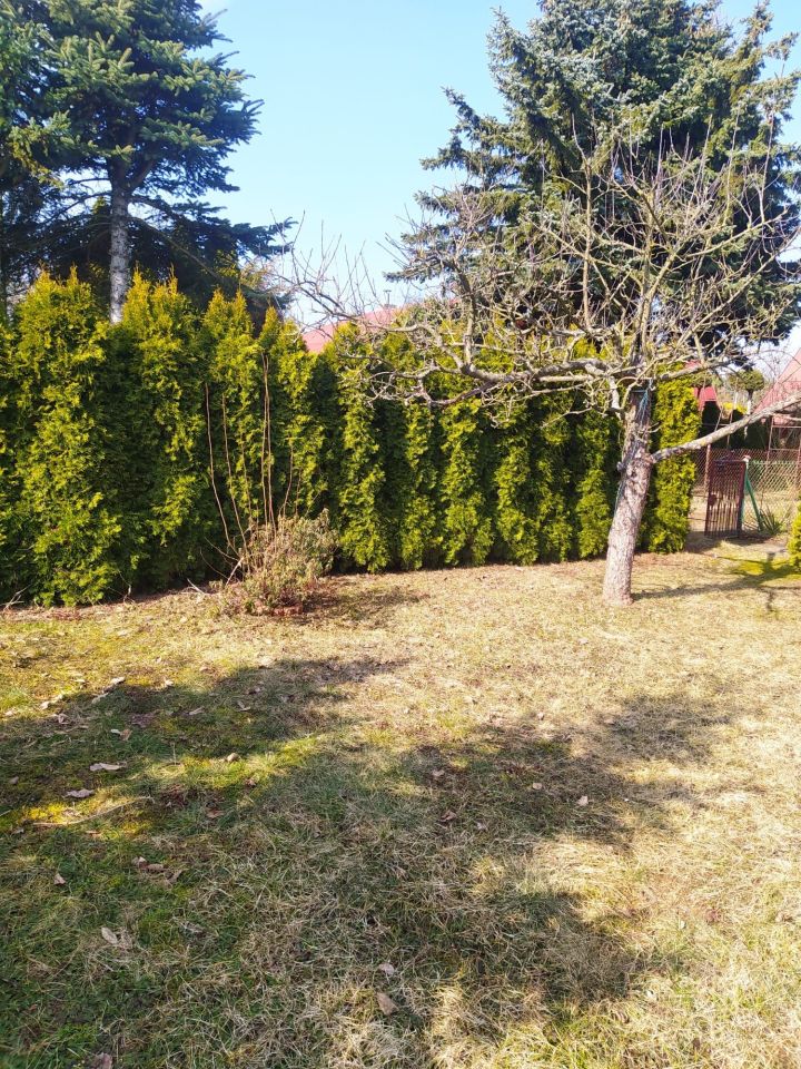 Działka rod Konstantynów Łódzki Żabiczki, ul. Krzywa. Zdjęcie 2