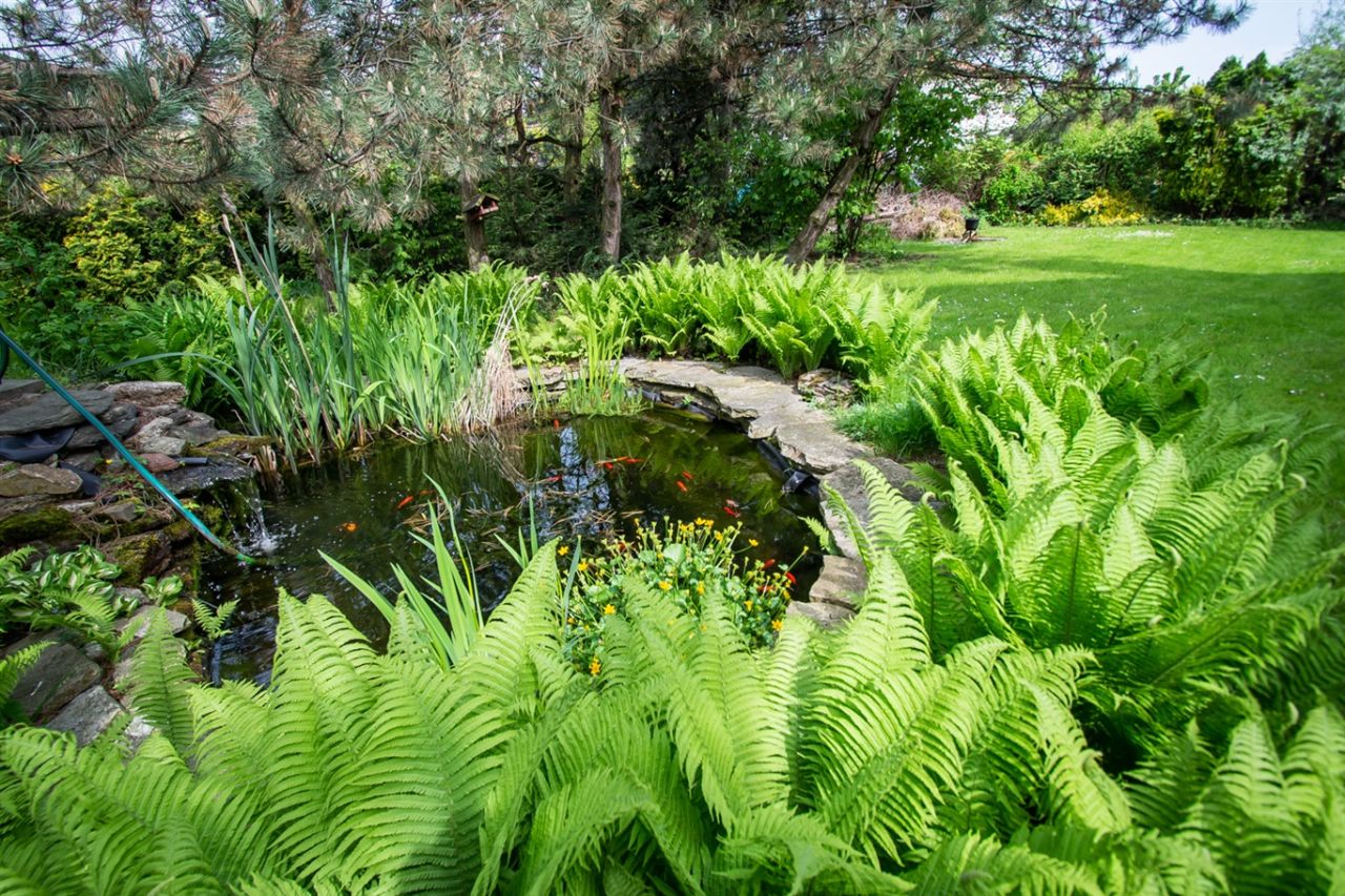 dom wolnostojący, 5 pokoi Chybie, ul. Spokojna. Zdjęcie 31