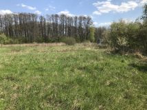 Działka rolno-budowlana Łódź Polesie, ul. Muszkieterów. Zdjęcie 2