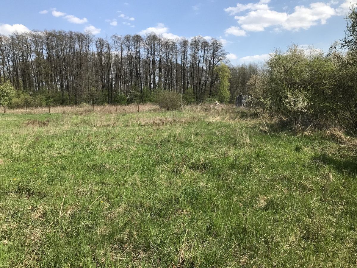 Działka rolno-budowlana Łódź Polesie, ul. Muszkieterów. Zdjęcie 3