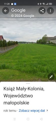 Działka rolna Książ Mały-Kolonia. Zdjęcie 1