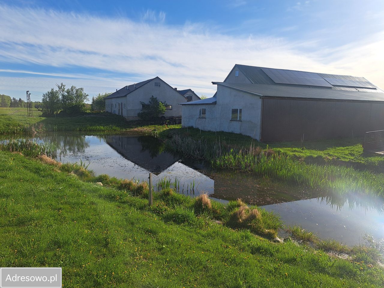 Działka rolna Kolonia Przerośl. Zdjęcie 4