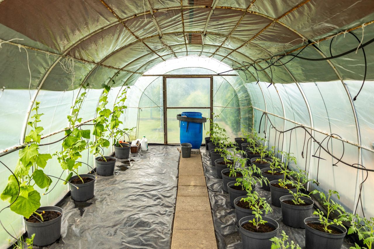 Działka rod Kluczbork, ul. Dworcowa. Zdjęcie 5