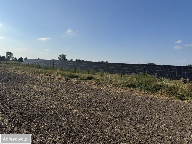 Działka rolno-budowlana Jedlno Drugie. Zdjęcie 4