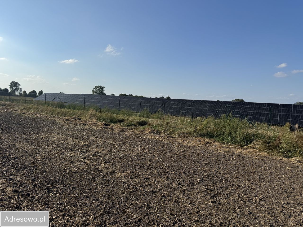 Działka rolno-budowlana Jedlno Drugie. Zdjęcie 4