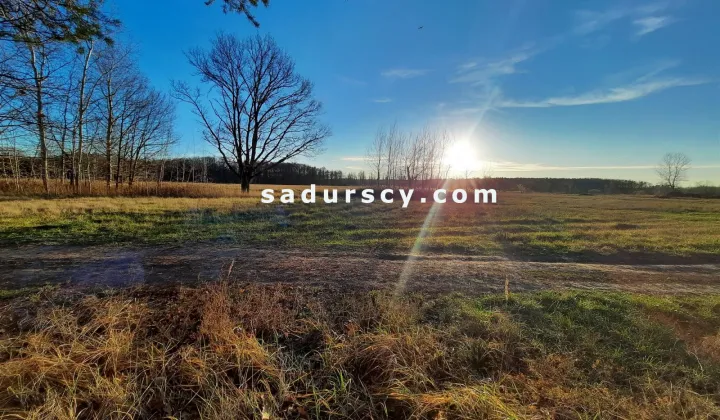 Działka budowlana Baniocha