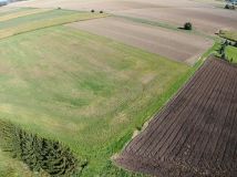 Działka rolno-budowlana Miłonów. Zdjęcie 3