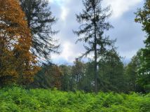 Działka siedliskowa Młynki. Zdjęcie 1