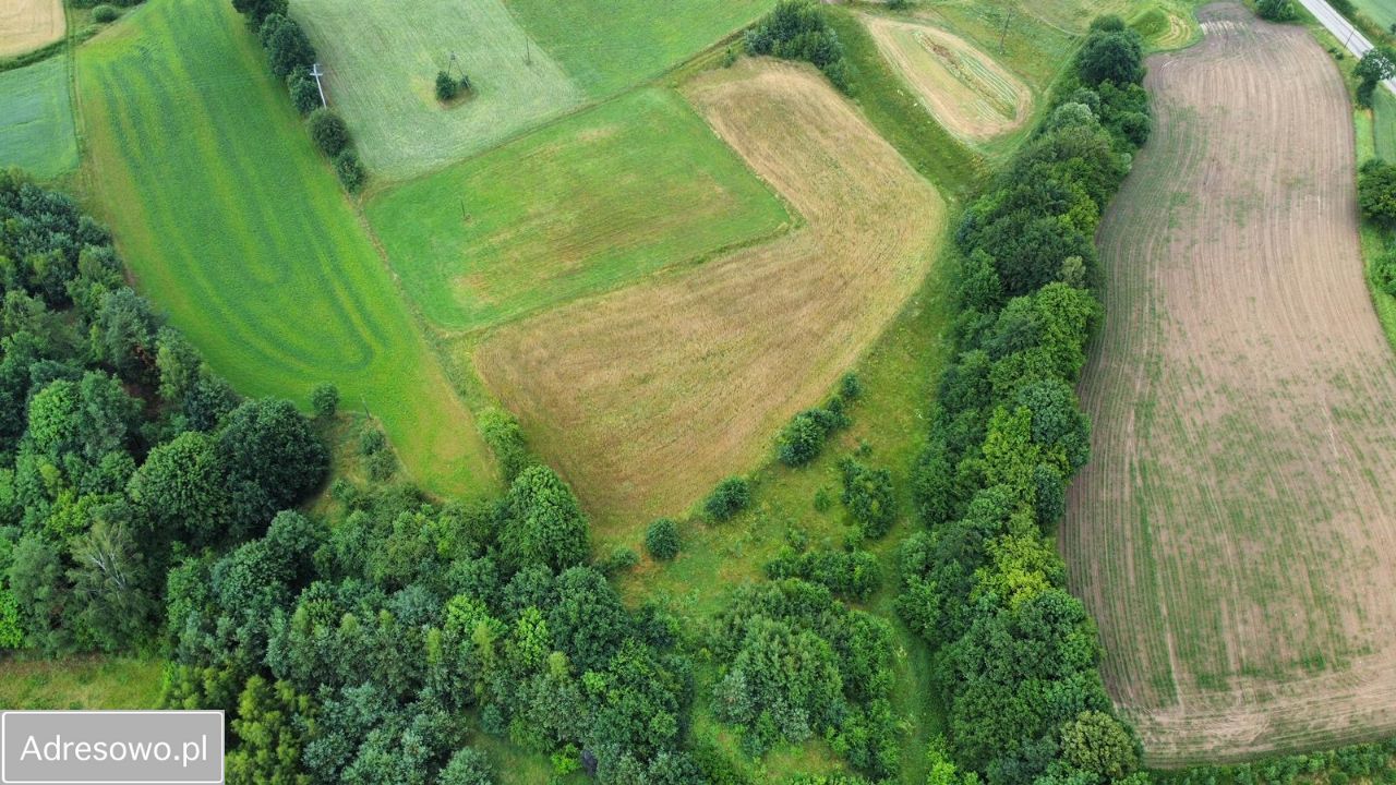 Działka budowlana Miechucino, ul. Zielone Wzgórze. Zdjęcie 4