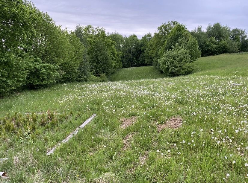 dom wolnostojący Tarnawa. Zdjęcie 4