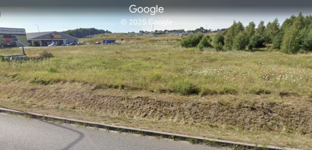 Działka rolna Borkowo. Zdjęcie 1