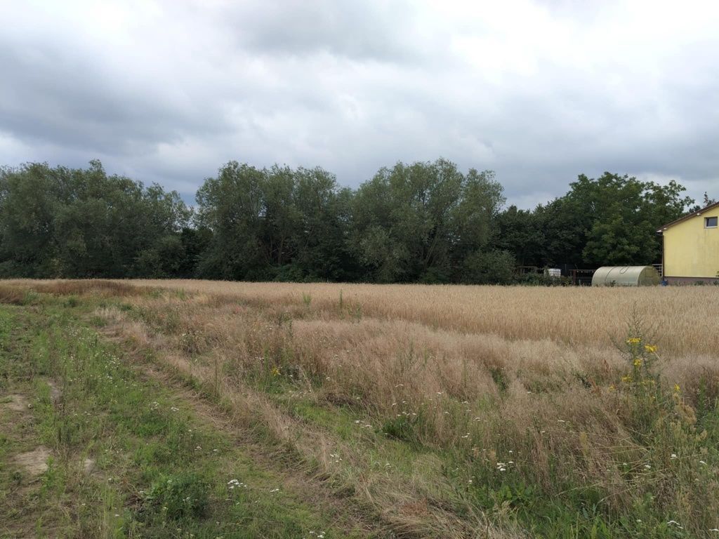 Działka budowlana Łubianka, ul. Jodłowa. Zdjęcie 2