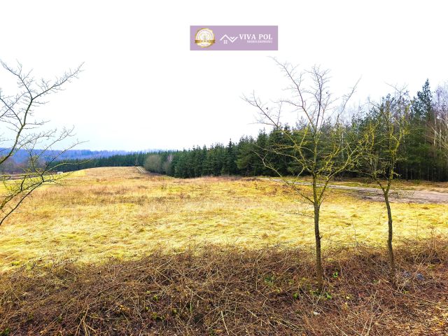 Działka rekreacyjna Kiersztanowo. Zdjęcie 7