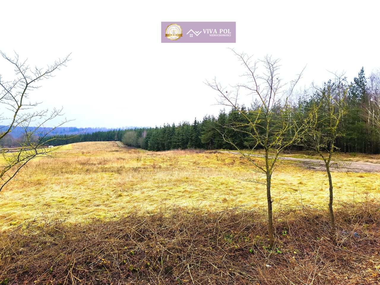 Działka rekreacyjna Kiersztanowo. Zdjęcie 7