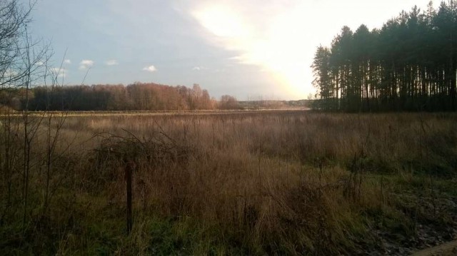 Działka rolno-budowlana Zabłudów, ul. Grzegorza Chodkiewicza. Zdjęcie 1