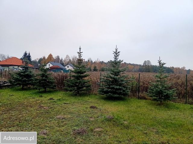 Działka rolno-budowlana Kębliny, ul. Obrońców z 1939 r.. Zdjęcie 1