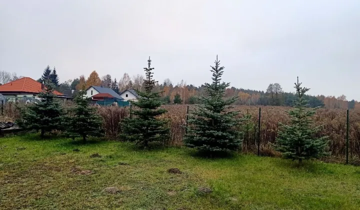 Działka rolno-budowlana Kębliny, ul. Obrońców z 1939 r.