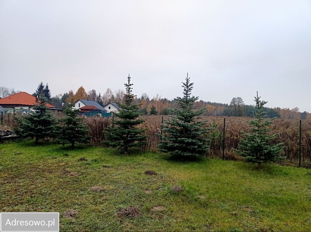 Działka rolno-budowlana Kębliny, ul. Obrońców z 1939 r.. Zdjęcie 1