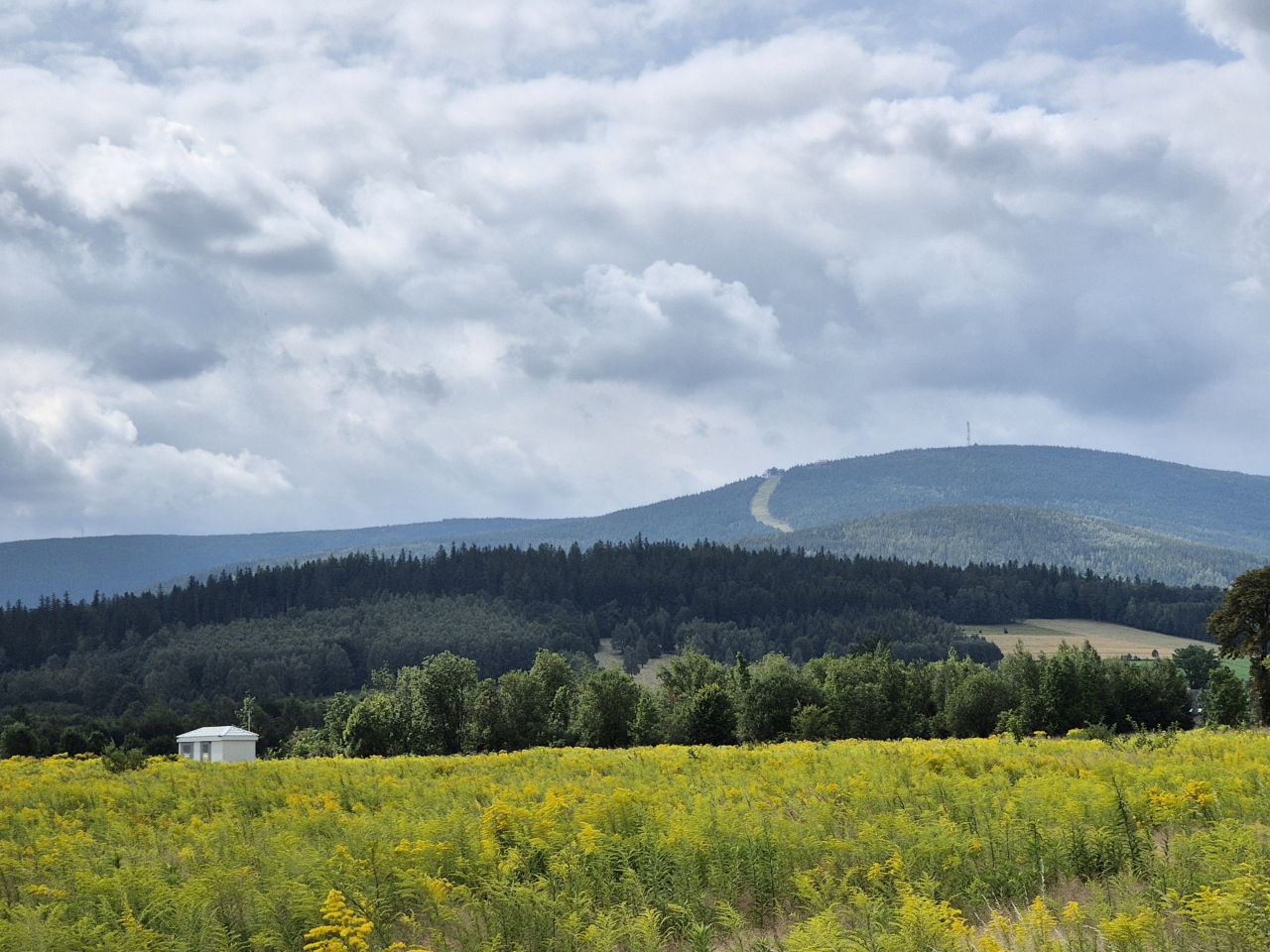 Działka rolno-budowlana Świeradów-Zdrój, ul. Jarzębinowa. Zdjęcie 5
