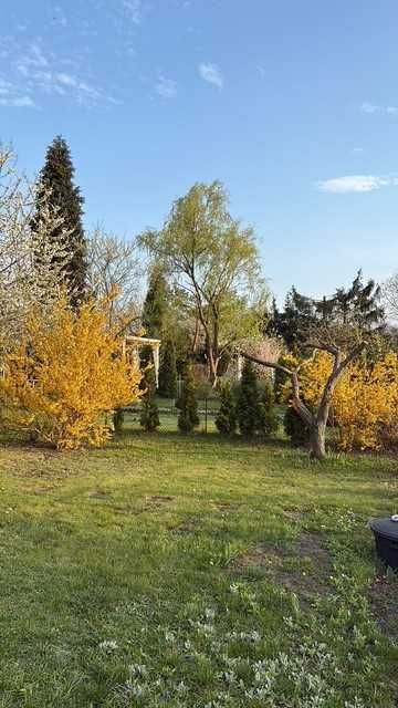Działka rod Będzin. Zdjęcie 2