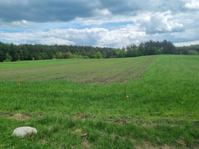 Działka budowlana Michalin. Zdjęcie 1