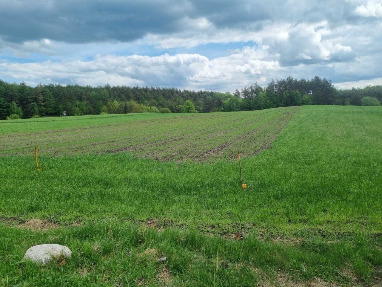 Działka budowlana Michalin. Zdjęcie 1