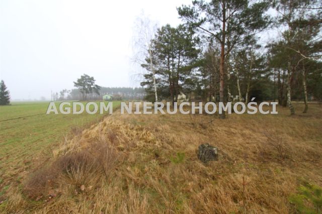 Działka budowlana Krzewie. Zdjęcie 4