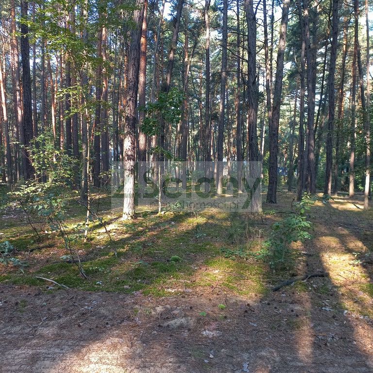 Działka budowlana Sękocin-Las. Zdjęcie 1