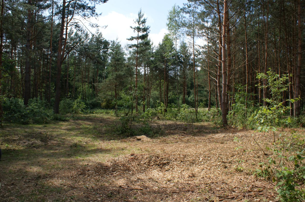 Działka rekreacyjna Czerwona Wola Myszkówka. Zdjęcie 20