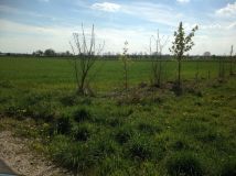 Działka rolno-budowlana Paprotnia. Zdjęcie 2