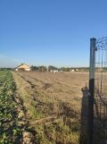 Działka budowlana Kazimierzówka, ul. Wierzbowa. Zdjęcie 2
