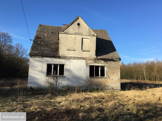 Działka rolno-budowlana Gubiny. Zdjęcie 1