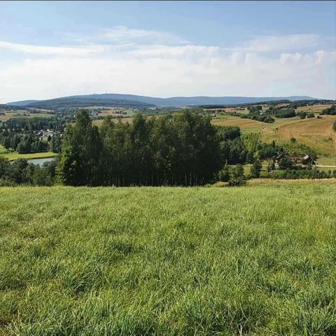 Działka rolno-budowlana Skały. Zdjęcie 1