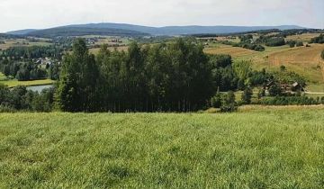 Działka rolno-budowlana Skały