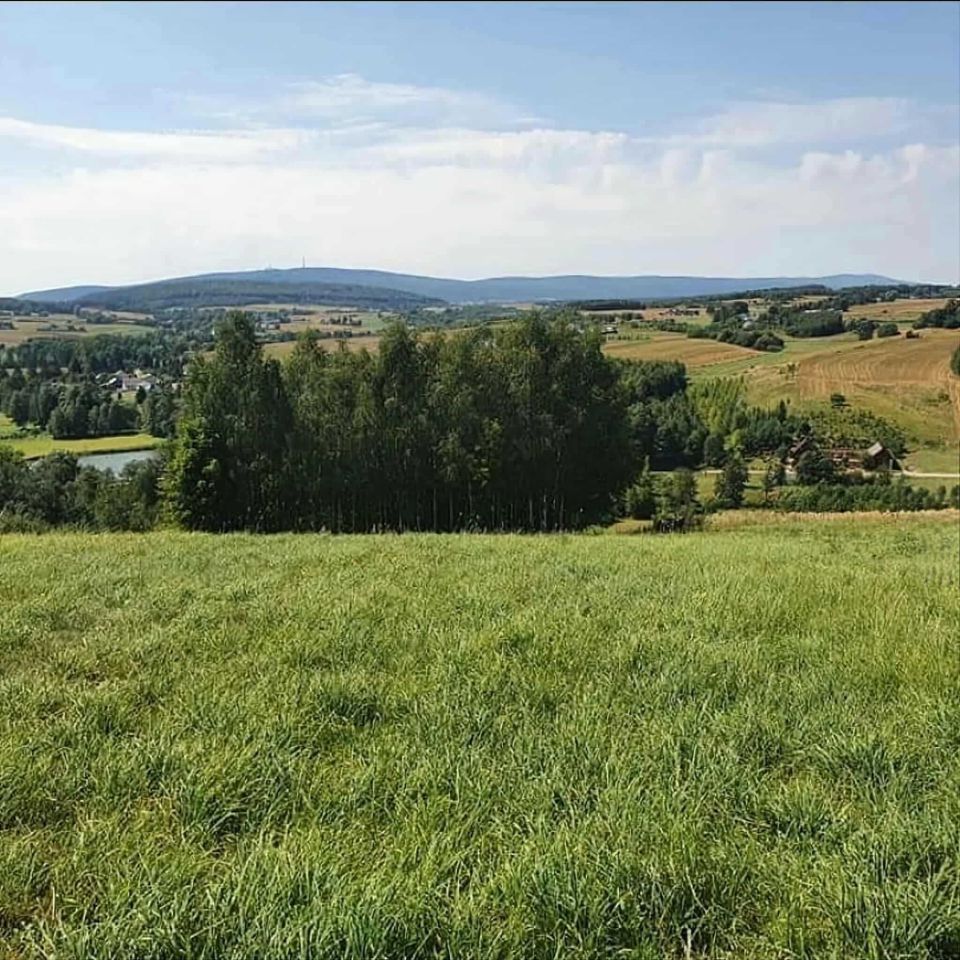 Działka rolno-budowlana Skały