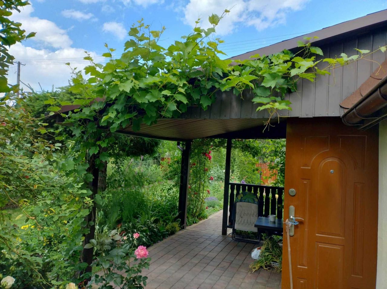 Działka rod Łomianki, ul. Łąkowa. Zdjęcie 2