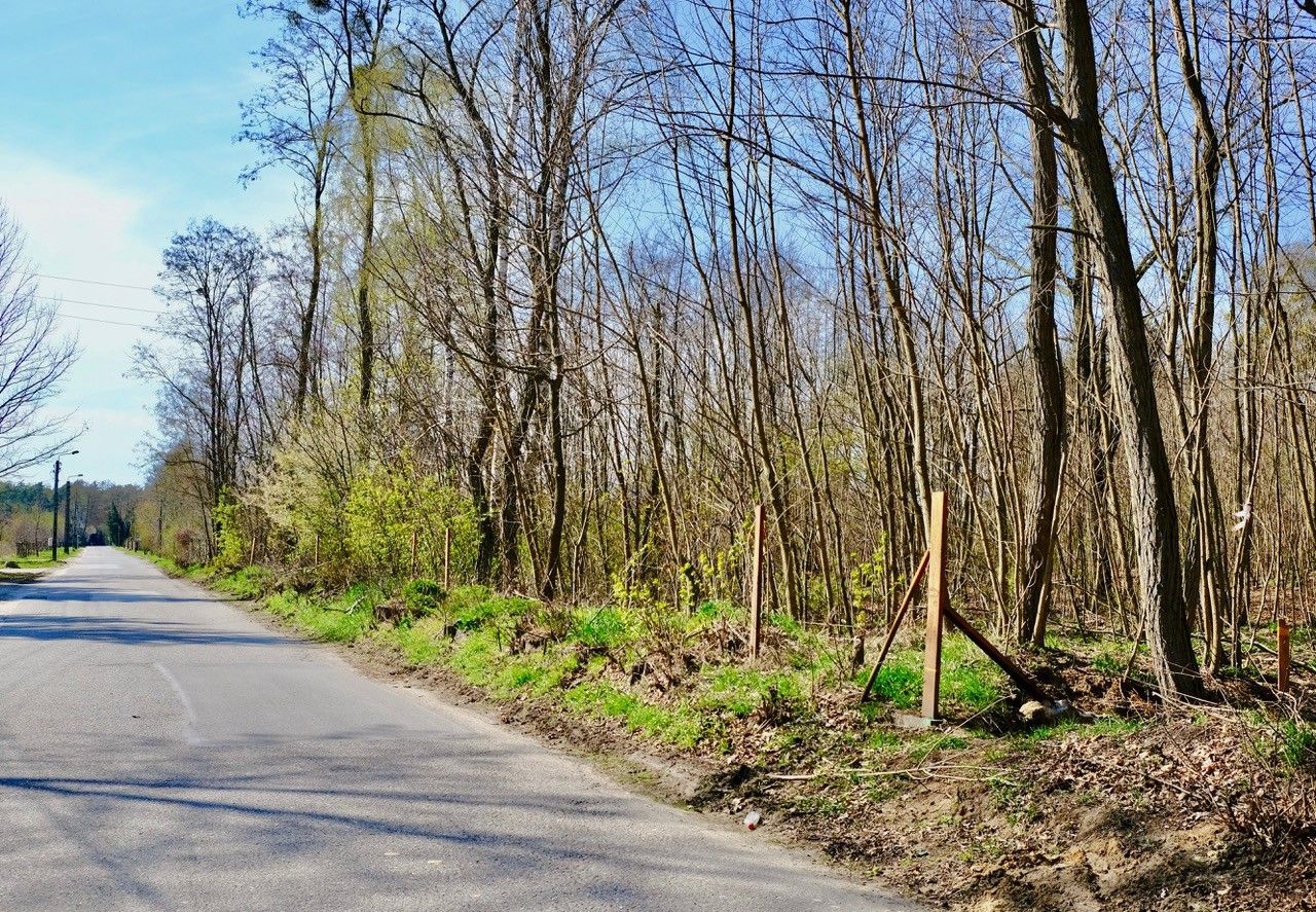 Działka inwestycyjna Żółwin. Zdjęcie 3