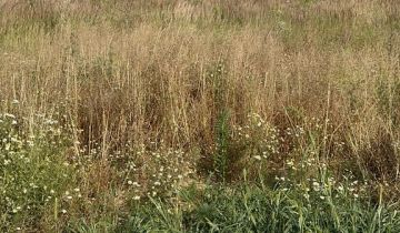 Działka budowlana Kębłowice