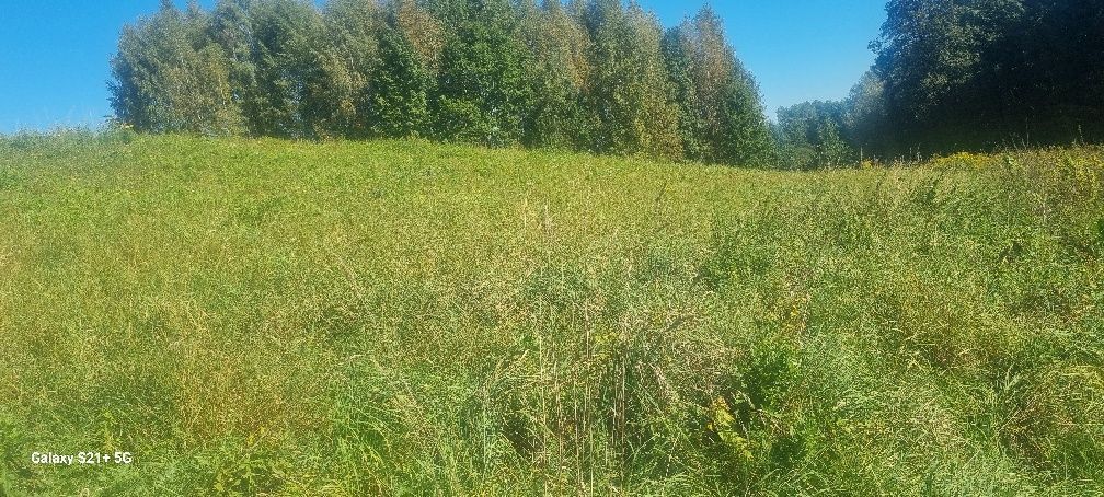 Działka rolna Grojec